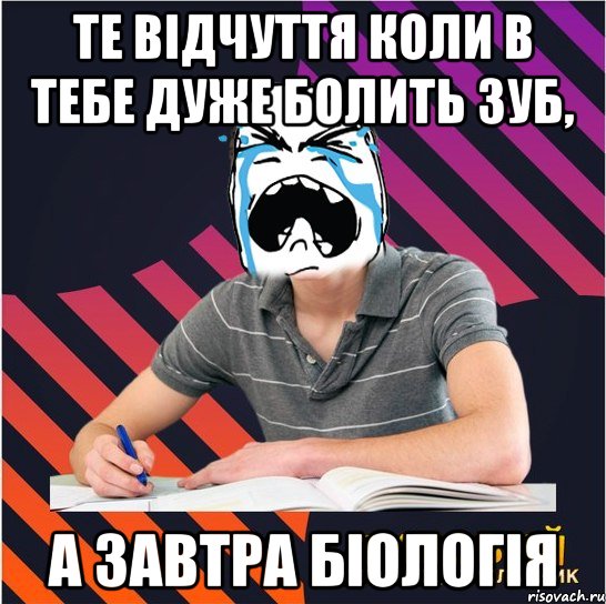 те відчуття коли в тебе дуже болить зуб, а завтра біологія, Мем Типовий одинадцятикласник