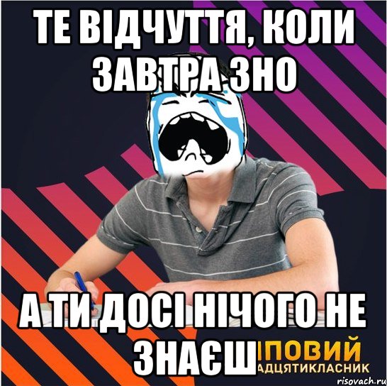 те відчуття, коли завтра зно а ти досі нічого не знаєш, Мем Типовий одинадцятикласник