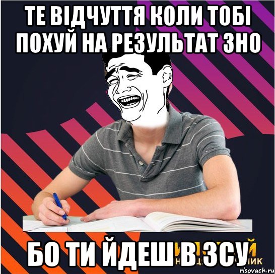 те відчуття коли тобі похуй на результат зно бо ти йдеш в зсу, Мем Типовий одинадцятикласник