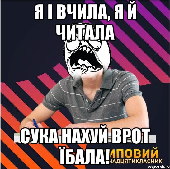 я і вчила, я й читала сука нахуй врот їбала!, Мем Типовий одинадцятикласник