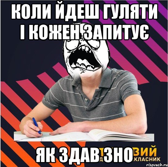 коли йдеш гуляти і кожен запитує як здав зно, Мем Типовий одинадцятикласник