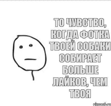 то чувство, когда фотка твоей собаки собирает больше лайков, чем твоя