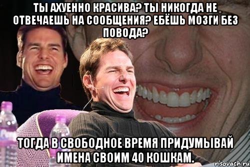 ты ахуенно красива? ты никогда не отвечаешь на сообщения? ебёшь мозги без повода? тогда в свободное время придумывай имена своим 40 кошкам., Мем том круз