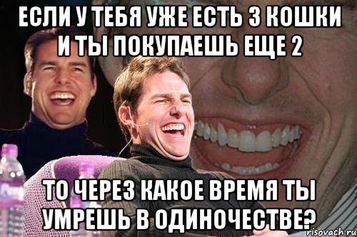 если у тебя уже есть 3 кошки и ты покупаешь еще 2 то через какое время ты умрешь в одиночестве?, Мем том круз