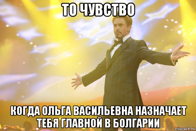 то чувство когда ольга васильевна назначает тебя главной в болгарии, Мем Тони Старк (Роберт Дауни младший)