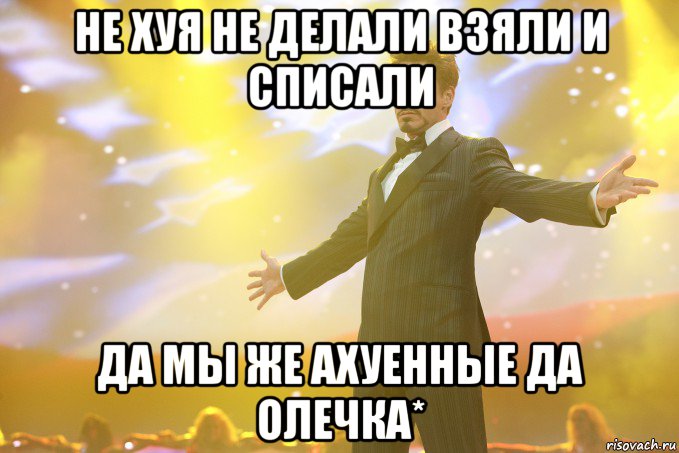 не хуя не делали взяли и списали да мы же ахуенные да олечка*, Мем Тони Старк (Роберт Дауни младший)