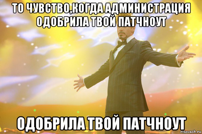 то чувство,когда администрация одобрила твой патчноут одобрила твой патчноут, Мем Тони Старк (Роберт Дауни младший)