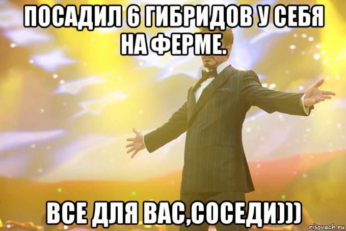 посадил 6 гибридов у себя на ферме. все для вас,соседи))), Мем Тони Старк (Роберт Дауни младший)