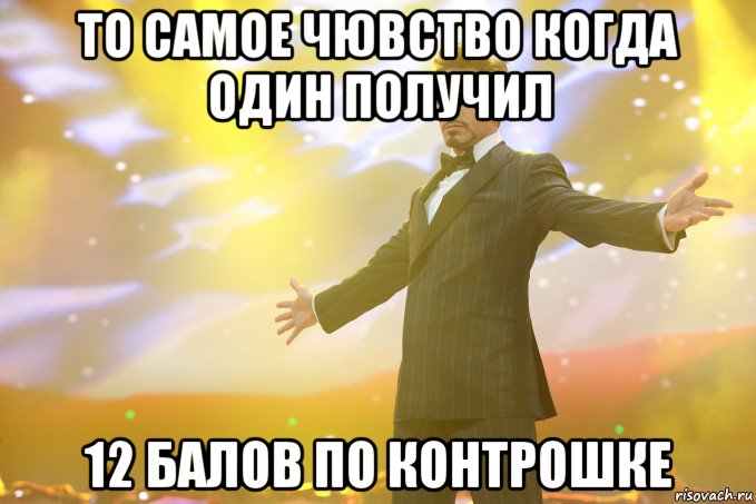 то самое чювство когда один получил 12 балов по контрошке, Мем Тони Старк (Роберт Дауни младший)