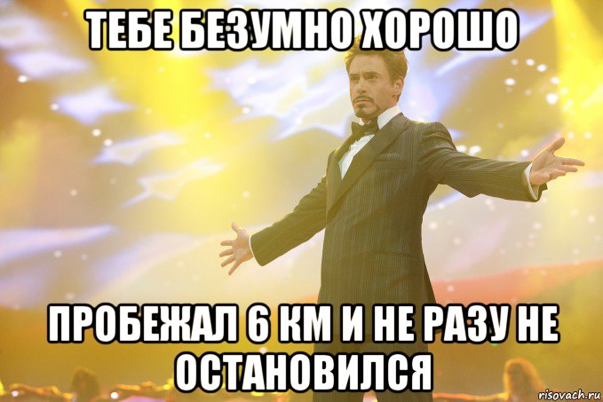 тебе безумно хорошо пробежал 6 км и не разу не остановился, Мем Тони Старк (Роберт Дауни младший)