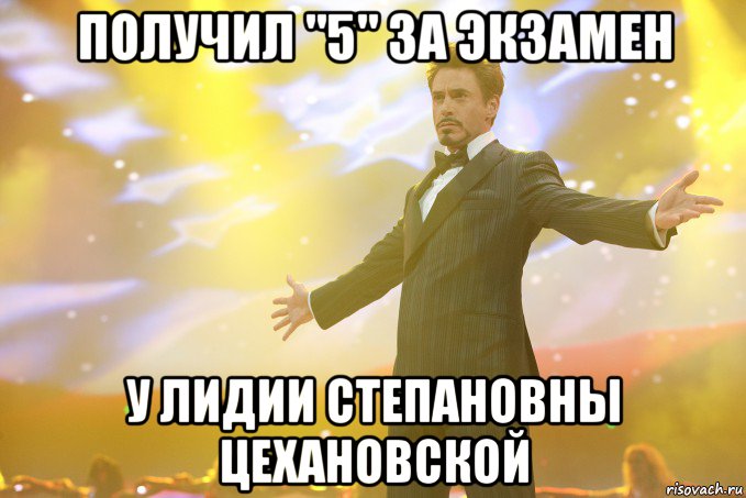 получил "5" за экзамен у лидии степановны цехановской, Мем Тони Старк (Роберт Дауни младший)