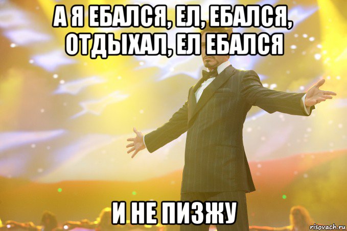 а я ебался, ел, ебался, отдыхал, ел ебался и не пизжу, Мем Тони Старк (Роберт Дауни младший)
