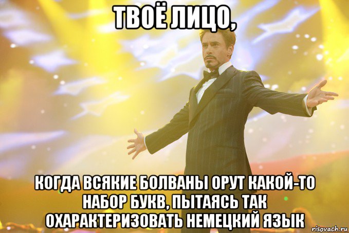 твоё лицо, когда всякие болваны орут какой-то набор букв, пытаясь так охарактеризовать немецкий язык, Мем Тони Старк (Роберт Дауни младший)