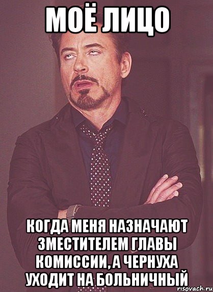 моё лицо когда меня назначают зместителем главы комиссии, а чернуха уходит на больничный, Мем твое выражение лица