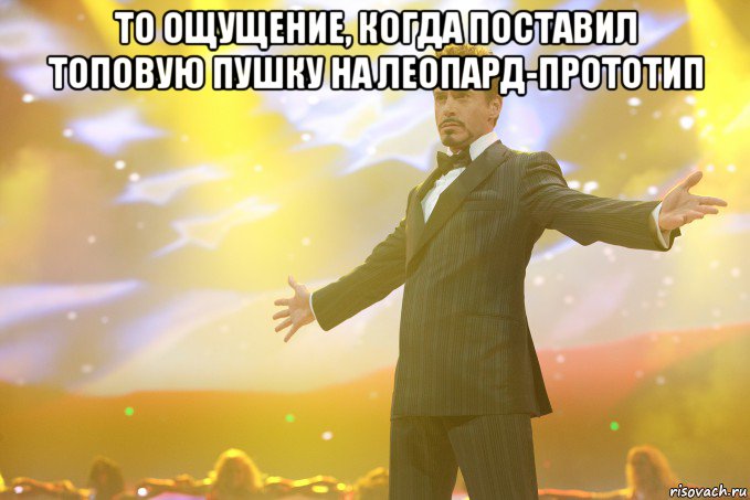 то ощущение, когда поставил топовую пушку на леопард-прототип , Мем Тони Старк (Роберт Дауни младший)