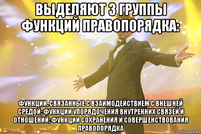 выделяют 3 группы функций правопорядка: функции, связанные с взаимодействием с внешней средой; функции упорядочения внутренних связей и отношений; функции сохранения и совершенствования правопорядка, Мем Тони Старк (Роберт Дауни младший)