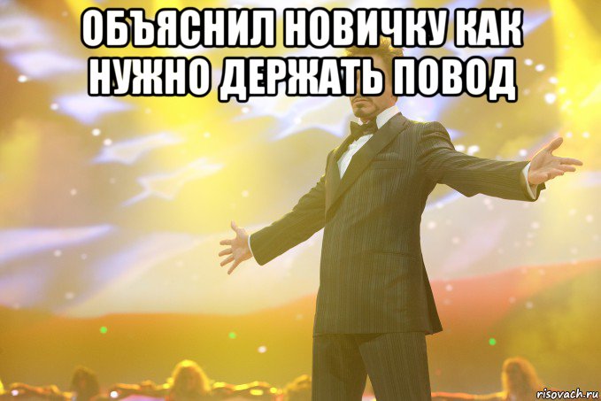 объяснил новичку как нужно держать повод , Мем Тони Старк (Роберт Дауни младший)