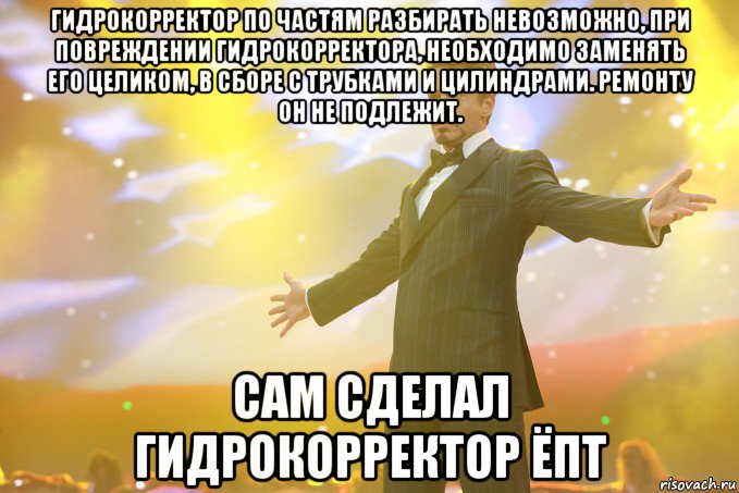 гидрокорректор по частям разбирать невозможно, при повреждении гидрокорректора, необходимо заменять его целиком, в сборе с трубками и цилиндрами. ремонту он не подлежит. сам сделал гидрокорректор ёпт, Мем Тони Старк (Роберт Дауни младший)