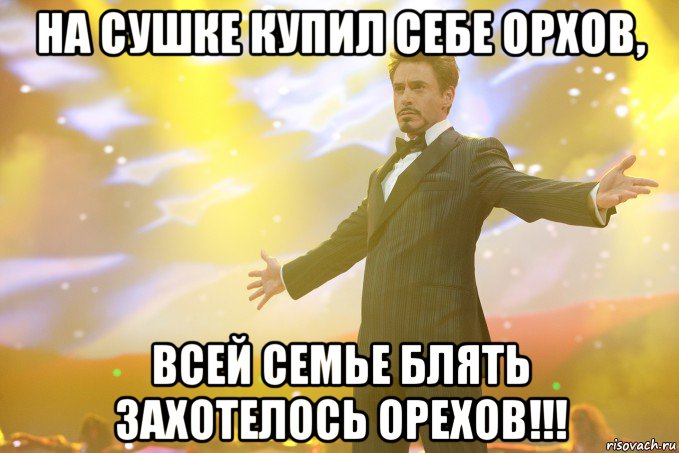 на сушке купил себе орхов, всей семье блять захотелось орехов!!!, Мем Тони Старк (Роберт Дауни младший)