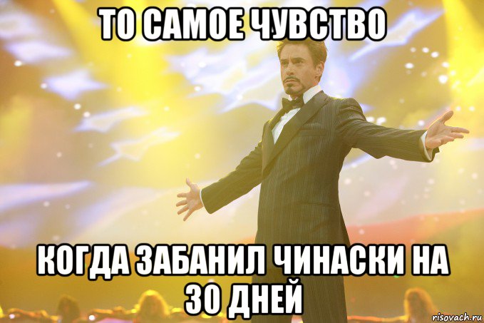 то самое чувство когда забанил чинаски на 30 дней, Мем Тони Старк (Роберт Дауни младший)