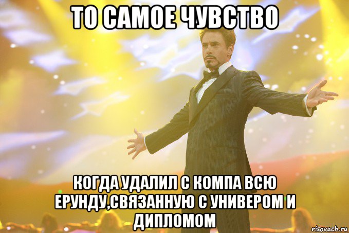 то самое чувство когда удалил с компа всю ерунду,связанную с универом и дипломом, Мем Тони Старк (Роберт Дауни младший)