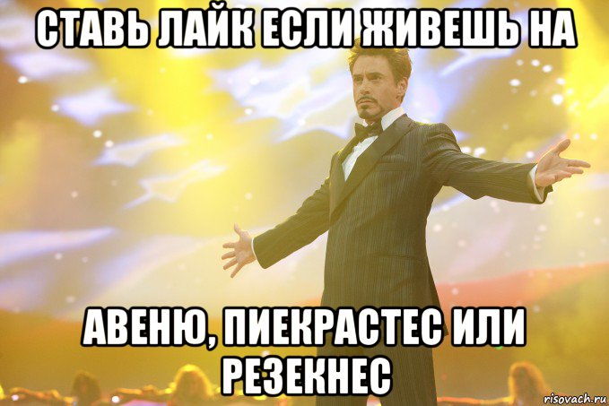 ставь лайк если живешь на авеню, пиекрастес или резекнес, Мем Тони Старк (Роберт Дауни младший)