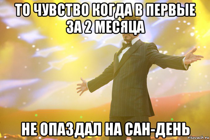 то чувство когда в первые за 2 месяца не опаздал на сан-день, Мем Тони Старк (Роберт Дауни младший)