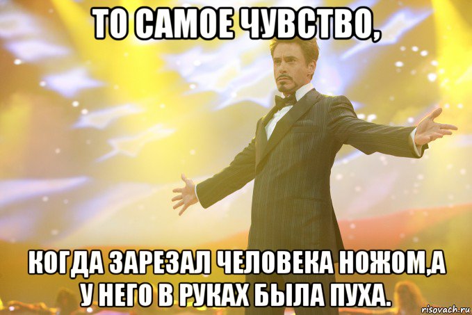 то самое чувство, когда зарезал человека ножом,а у него в руках была пуха., Мем Тони Старк (Роберт Дауни младший)