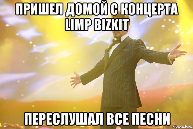 пришел домой с концерта limp bizkit переслушал все песни, Мем Тони Старк (Роберт Дауни младший)