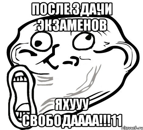 после здачи экзаменов яхууу свободаааа!!!11, Мем  Trollface LOL