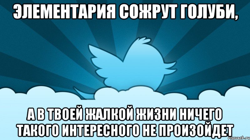 элементария сожрут голуби, а в твоей жалкой жизни ничего такого интересного не произойдет, Мем    твиттер