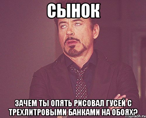 сынок зачем ты опять рисовал гусей с трехлитровыми банками на обоях?, Мем твое выражение лица