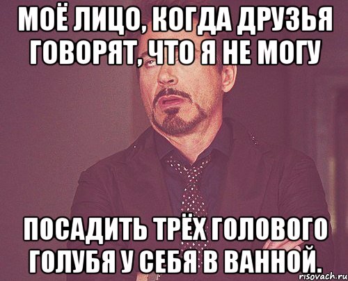 моё лицо, когда друзья говорят, что я не могу посадить трёх голового голубя у себя в ванной., Мем твое выражение лица