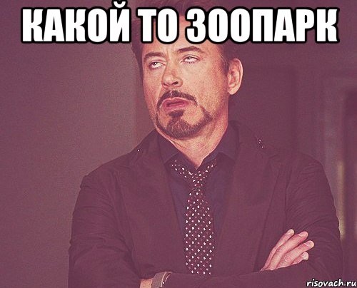 какой то зоопарк , Мем твое выражение лица