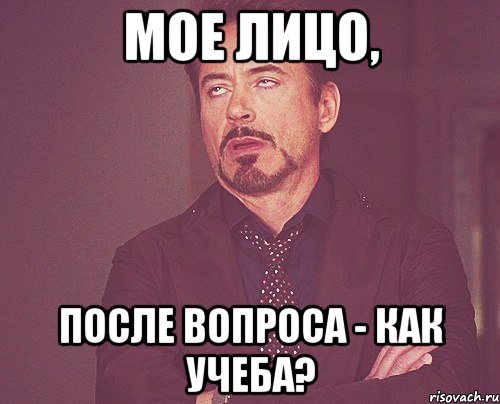 мое лицо, после вопроса - как учеба?, Мем твое выражение лица