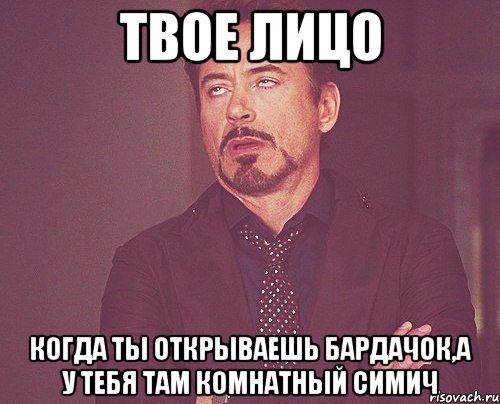 твое лицо когда ты открываешь бардачок,а у тебя там комнатный симич, Мем твое выражение лица