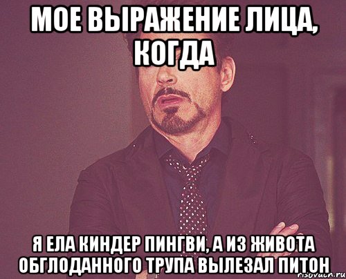 мое выражение лица, когда я ела киндер пингви, а из живота обглоданного трупа вылезал питон, Мем твое выражение лица