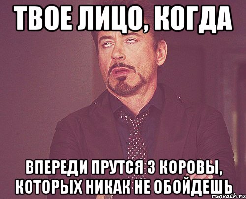 твое лицо, когда впереди прутся 3 коровы, которых никак не обойдешь, Мем твое выражение лица