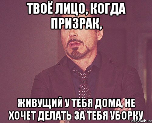 твоё лицо, когда призрак, живущий у тебя дома, не хочет делать за тебя уборку, Мем твое выражение лица