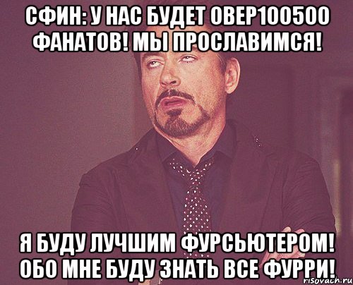 сфин: у нас будет овер100500 фанатов! мы прославимся! я буду лучшим фурсьютером! обо мне буду знать все фурри!, Мем твое выражение лица