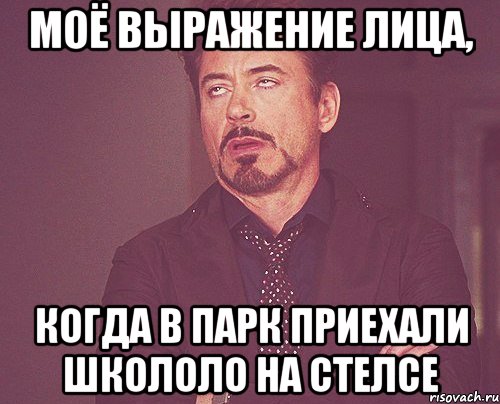 моё выражение лица, когда в парк приехали школоло на стелсе, Мем твое выражение лица