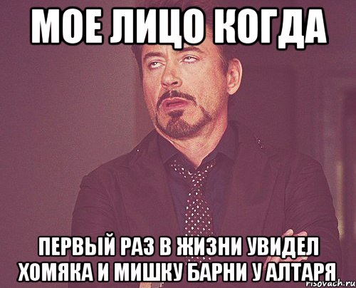 мое лицо когда первый раз в жизни увидел хомяка и мишку барни у алтаря, Мем твое выражение лица