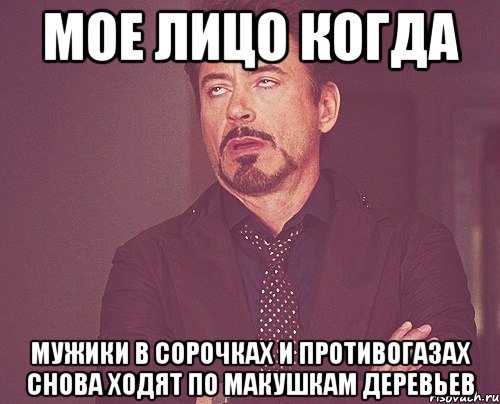 мое лицо когда мужики в сорочках и противогазах снова ходят по макушкам деревьев, Мем твое выражение лица