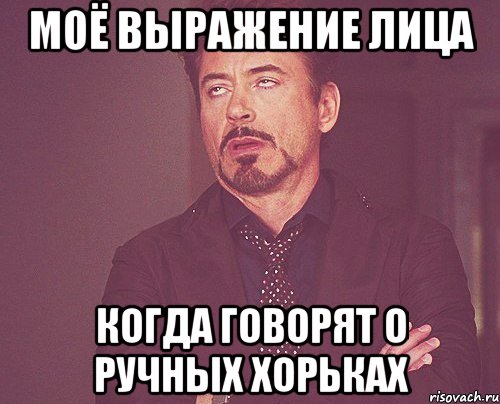 моё выражение лица когда говорят о ручных хорьках, Мем твое выражение лица