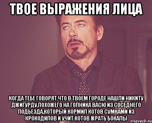 твое выражения лица когда тебе говорят,что в твоем городе нашли никиту джигурду,похожего на гопника васю из соседнего подьезда,который кормил котов сумками из крокодилов и учит котов жрать бокалы, Мем твое выражение лица