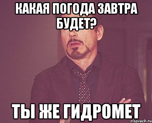 какая погода завтра будет? ты же гидромет, Мем твое выражение лица