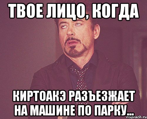 твое лицо, когда киртоакэ разъезжает на машине по парку..., Мем твое выражение лица