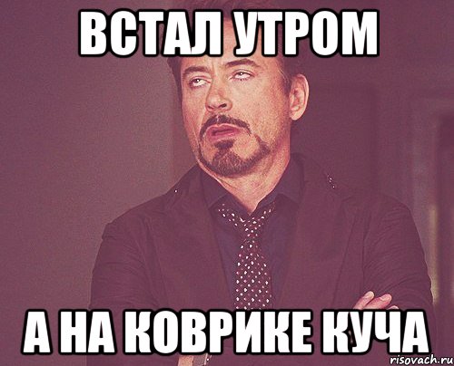 встал утром а на коврике куча, Мем твое выражение лица