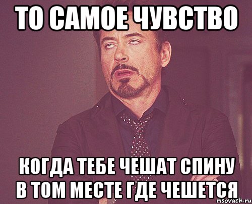 то самое чувство когда тебе чешат спину в том месте где чешется, Мем твое выражение лица