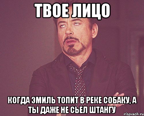 твое лицо когда эмиль топит в реке собаку, а ты даже не сьел штангу, Мем твое выражение лица